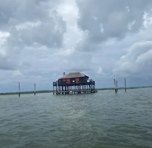 Appartement La Charmeuse à 500m De Arcachon