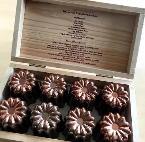 La Charmeuse à 500m De Appartement Arcachon